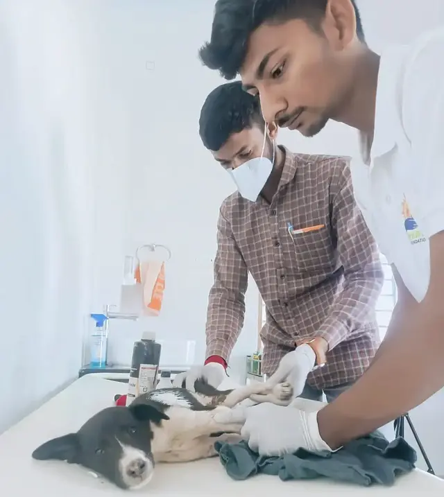 Animal Care & Rescue 3