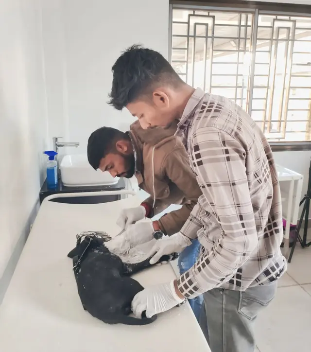 Animal Care & Rescue 22