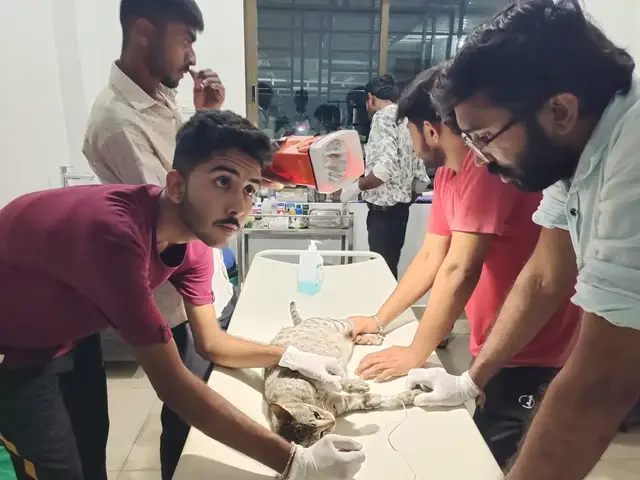 Animal Care & Rescue 26